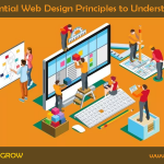 Essential Web Design Principles to Understand