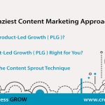 The Craziest Content Marketing Approach Ever